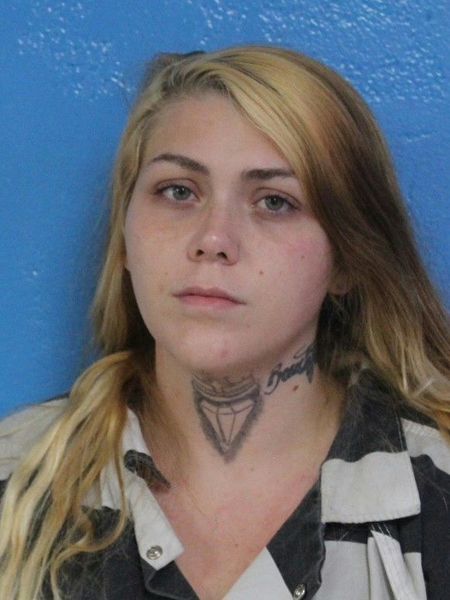 Booking photo of Hannah Arnold