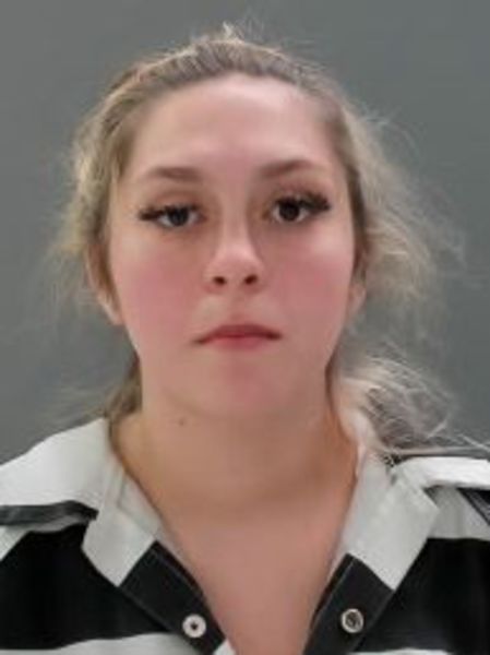 Booking photo of Amanda Brendel