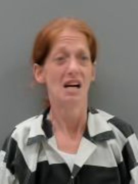 April Johnson booking photo