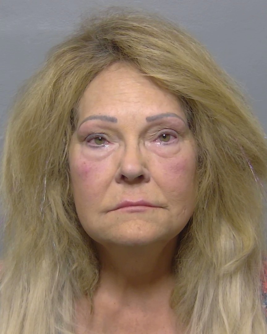 Booking photo of Diane Capasso