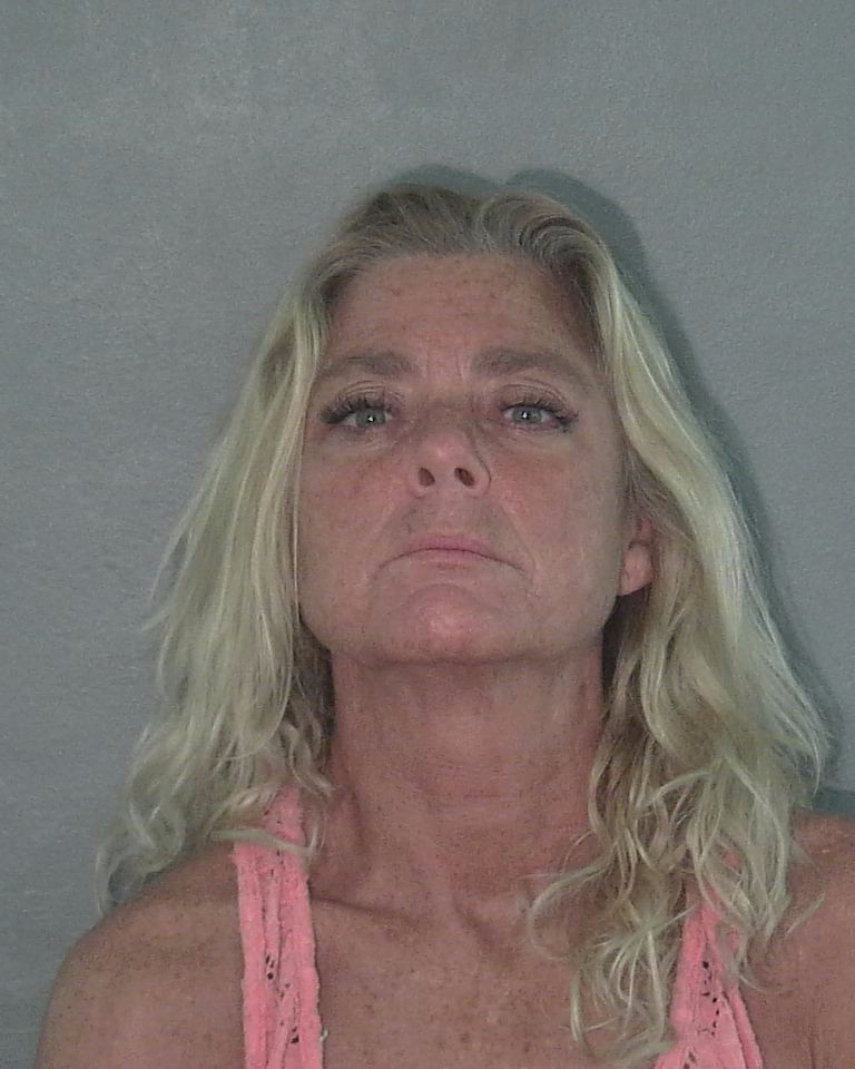Booking photo of Sherry Picchione