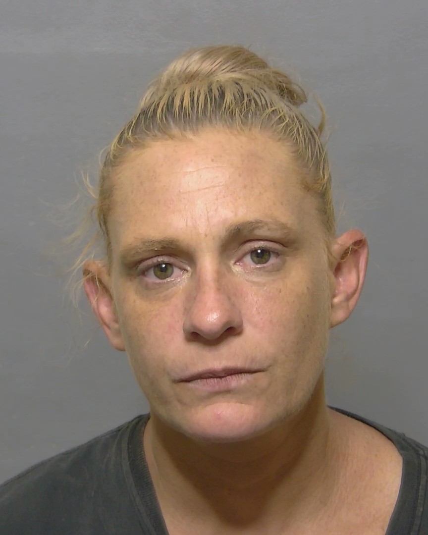 Booking photo of Amanda Hines