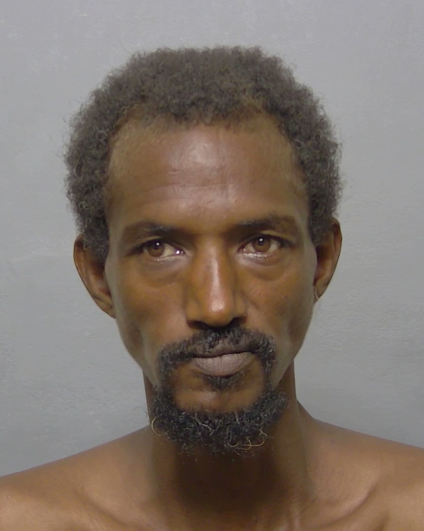 Booking photo of Suud Omaredie