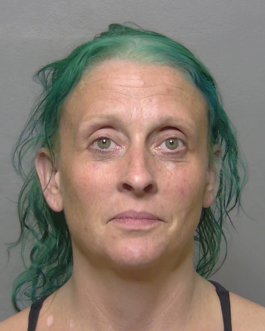 Booking photo of April Mehn