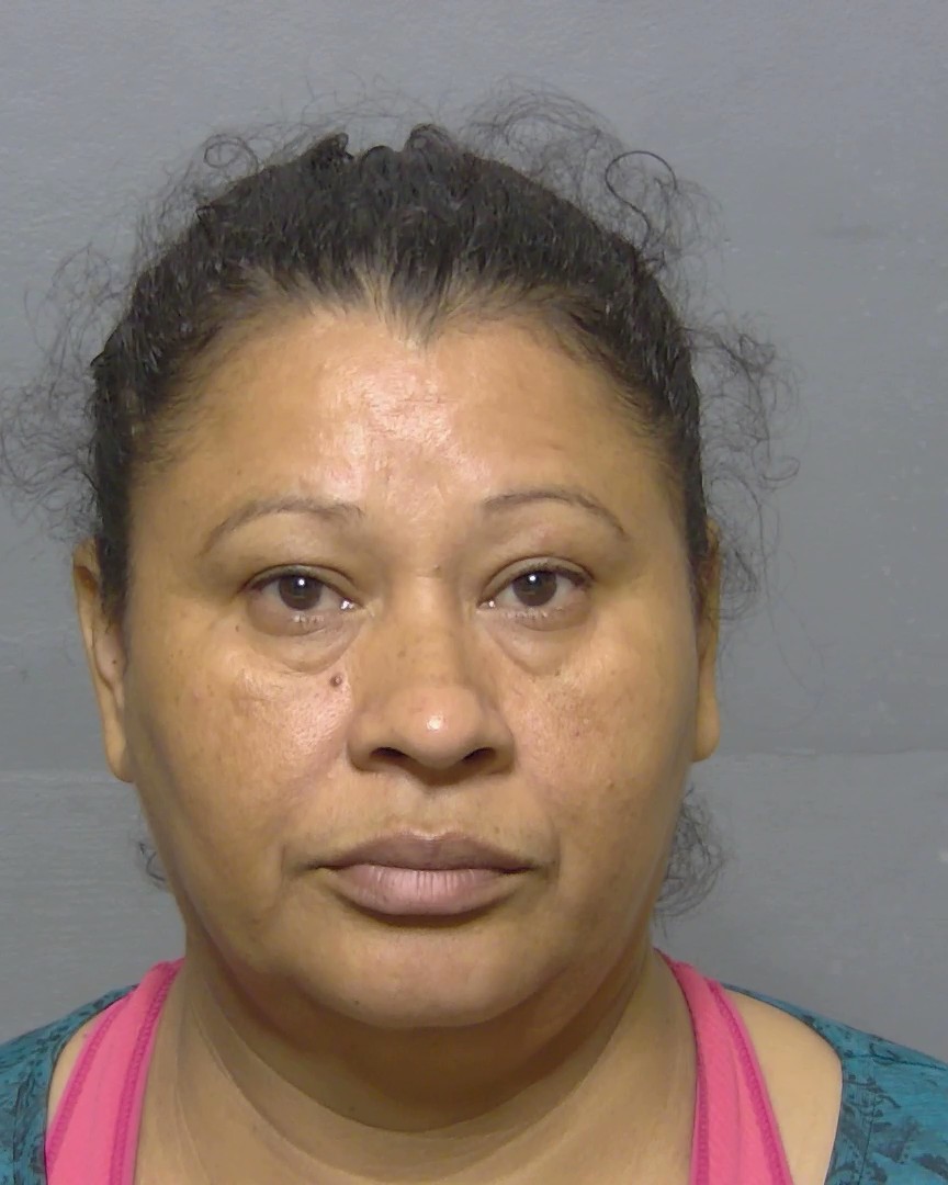 Booking photo of Ana Salgado Decortez