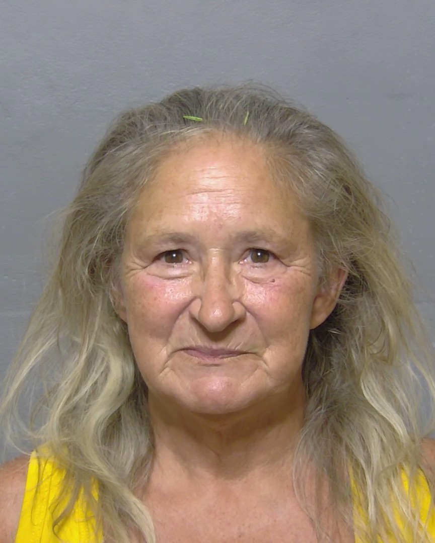 Booking photo of Sandra Ingram