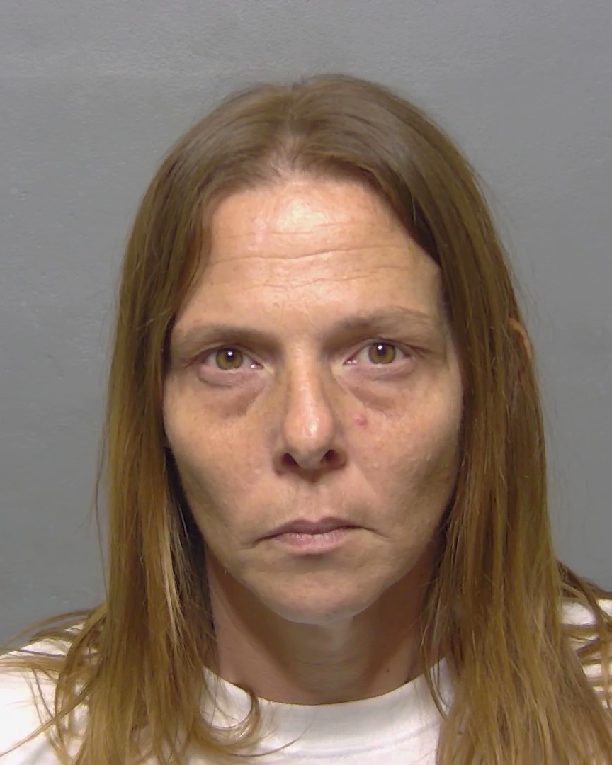 Booking photo of Finesha Mcnett