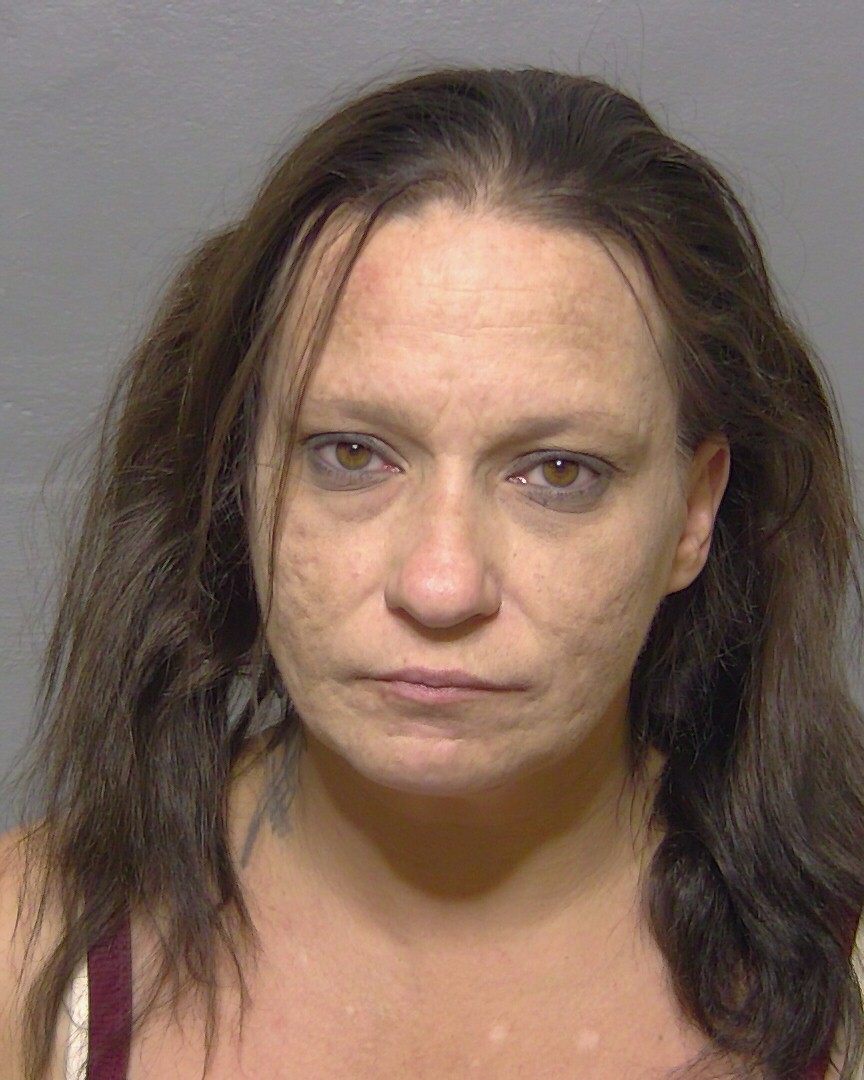Booking photo of Brandi Chamness