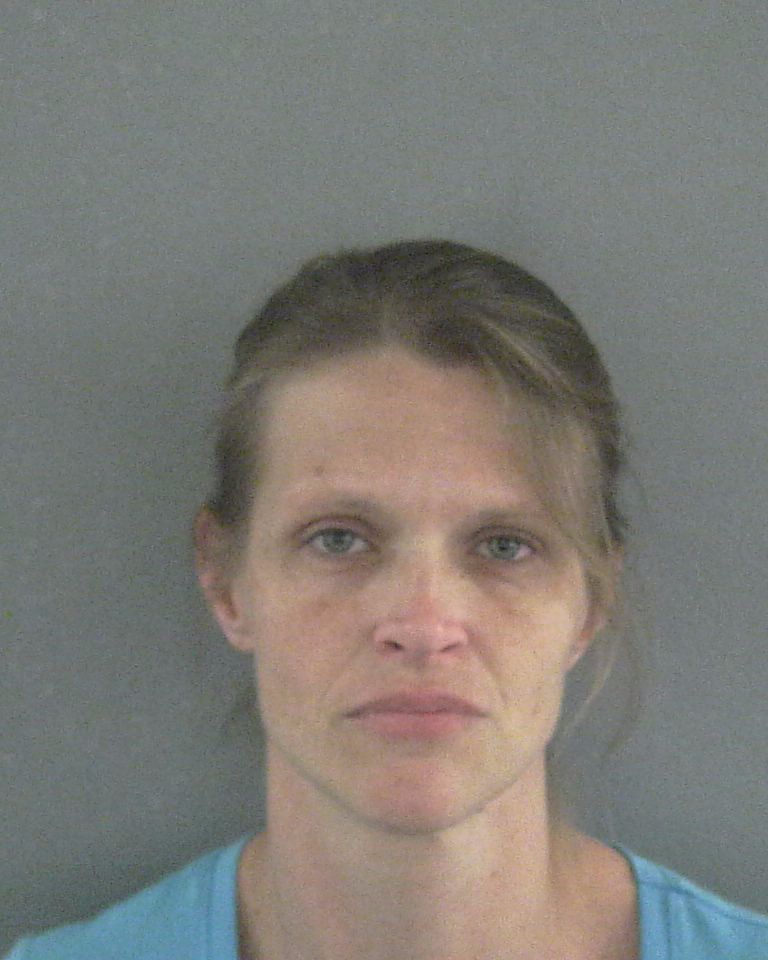 Booking photo of Amanda Porter