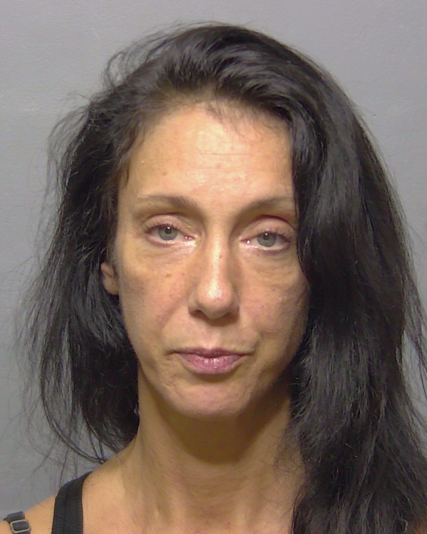 Booking photo of Janine Rapka