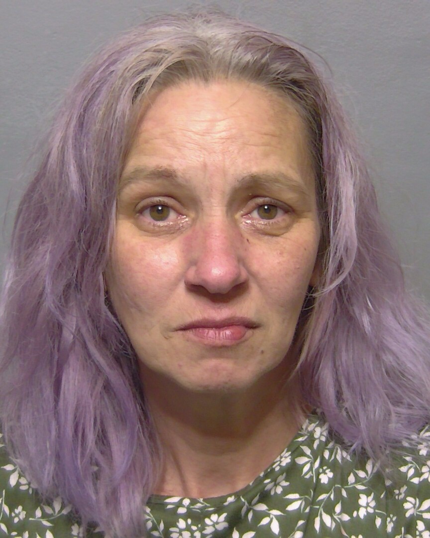 Booking photo of Kathryn Domich