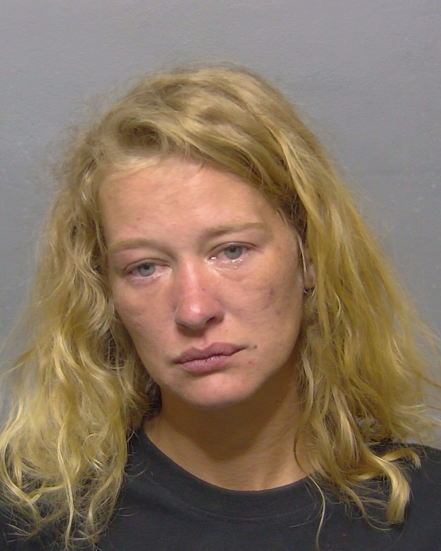 Booking photo of Jade Larson