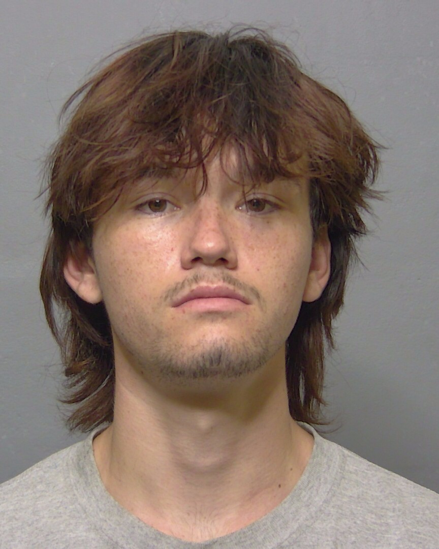 Booking photo of Roysjen Beaty