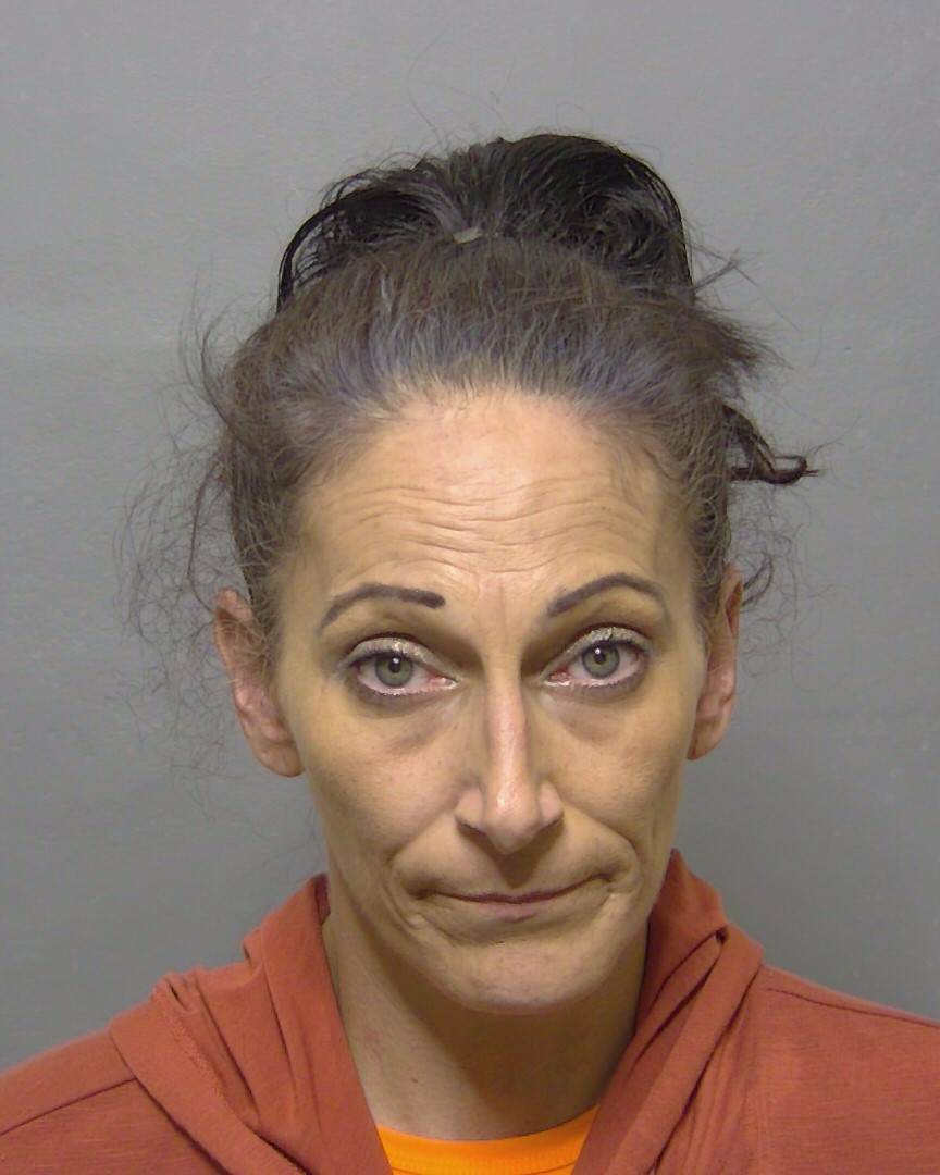 Booking photo of Brittney Mineau