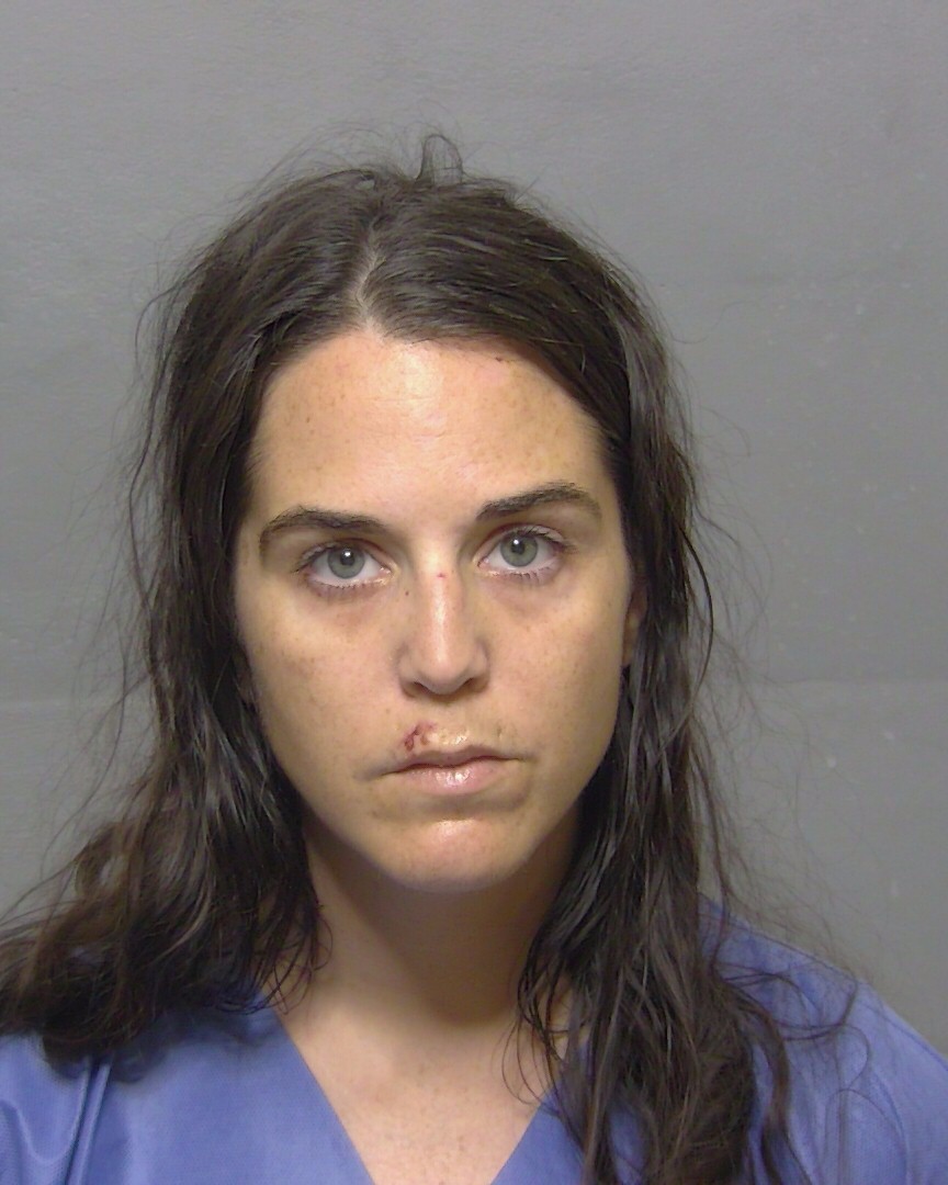 Booking photo of Jolynn Haddix