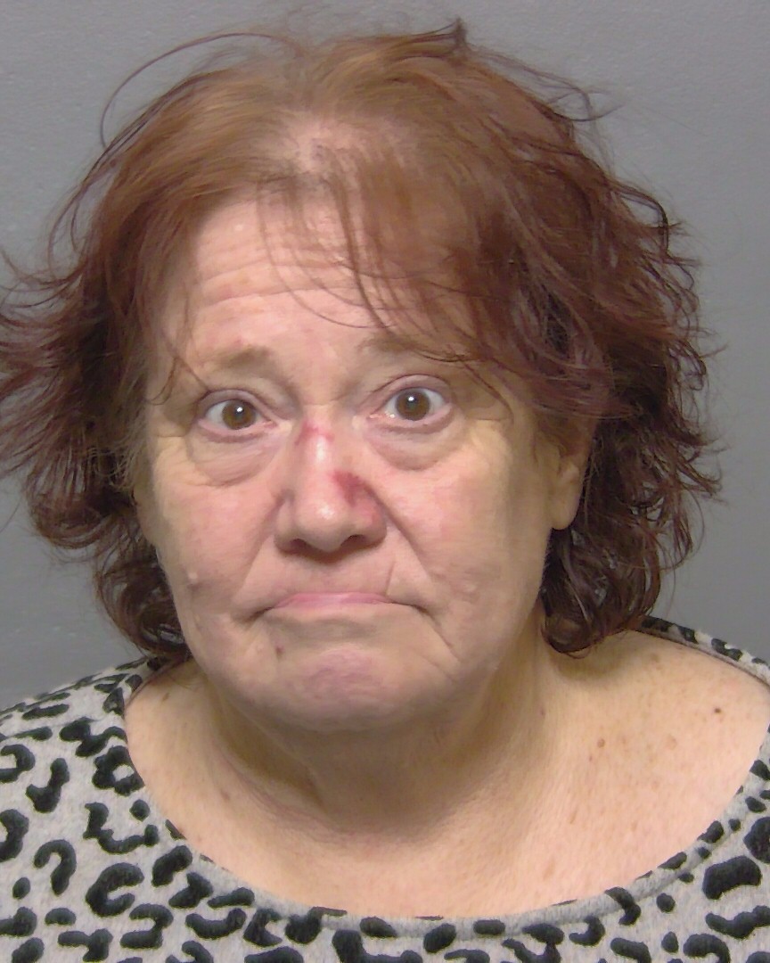 Kathleen Hagan booking photo