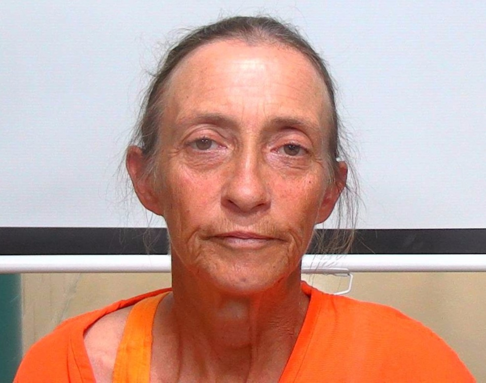 Booking photo of Alina Parson