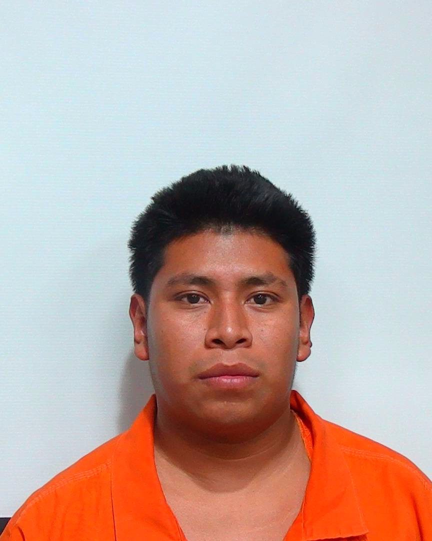 Demetrius Davis — Suwannee County, FL Arrest Record | muglist