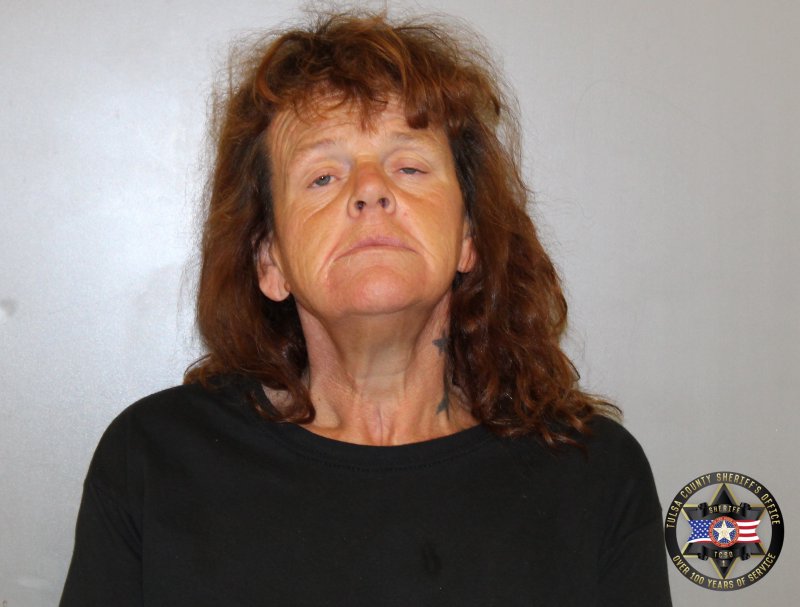 Booking photo of Christina Dimas