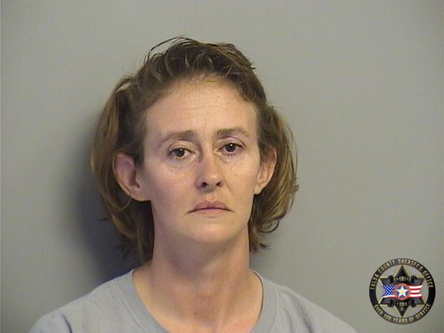 Booking photo of Lisa Anderson