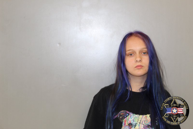 Jessica Gilleland booking photo