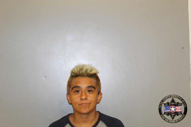 Booking photo of Monica Diaz Robinson