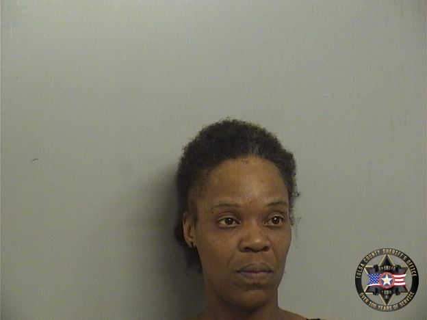Booking photo of Tamara Verner