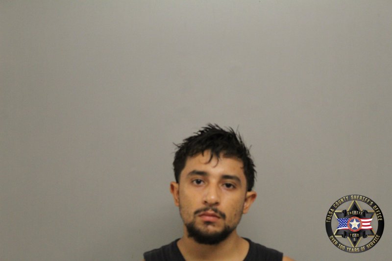 Booking photo of Brandon Palominobanuelos