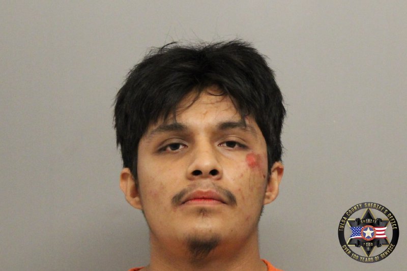 Booking photo of Joan Perez