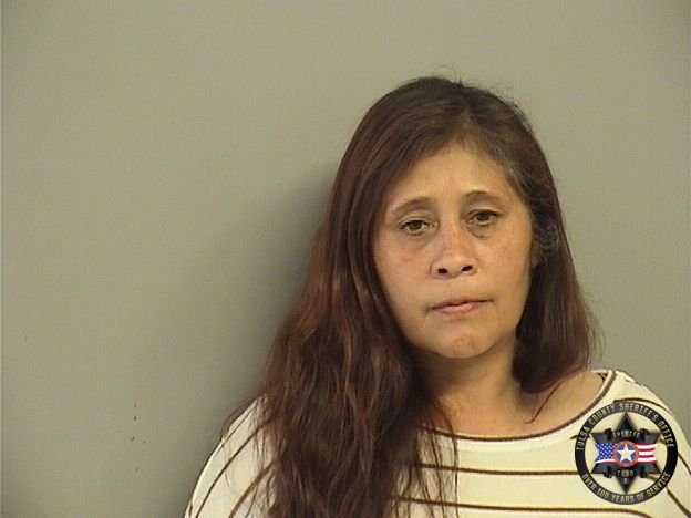 Booking photo of Stacie Villa