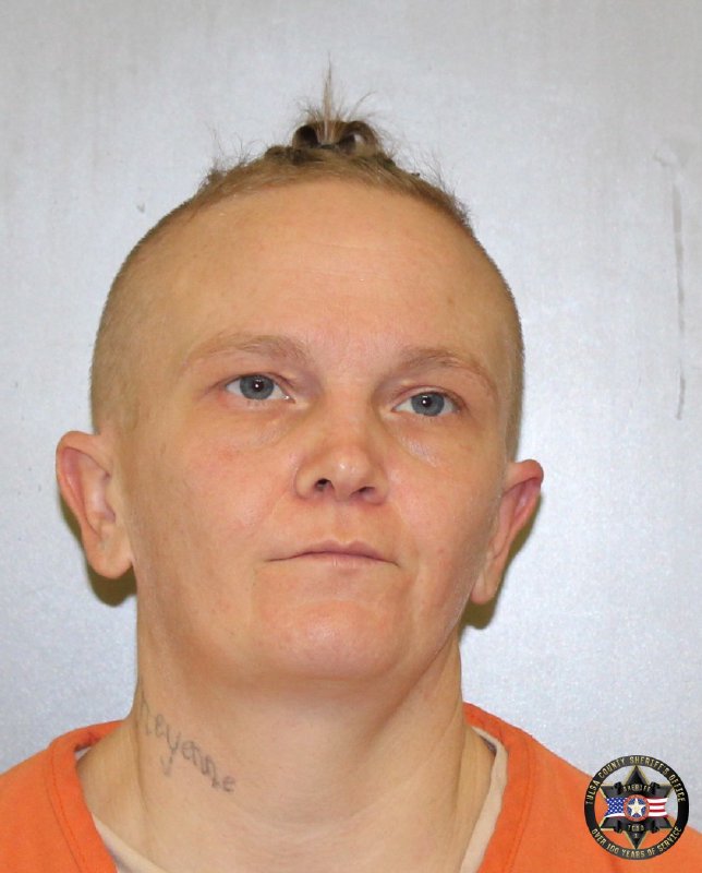 Booking photo of Nichole Robbins