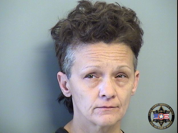 Booking photo of Lisa Ahmed