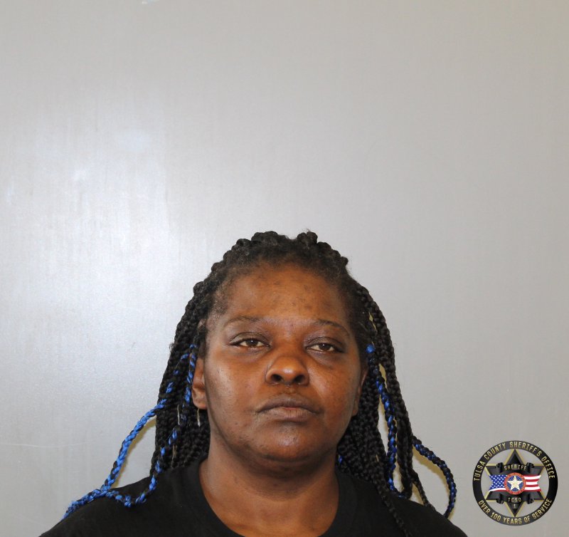 Monica Johnson booking photo