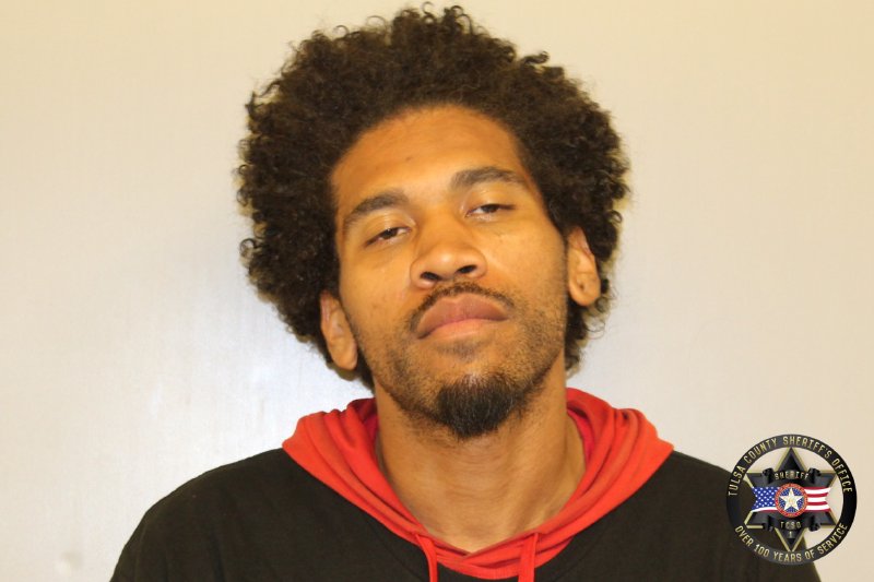 Damiko Richardson booking photo