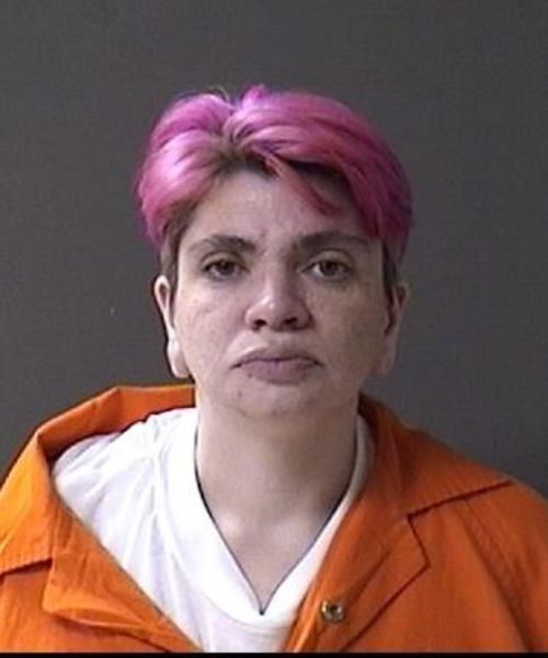 Booking photo of Elizabeth Depaolo
