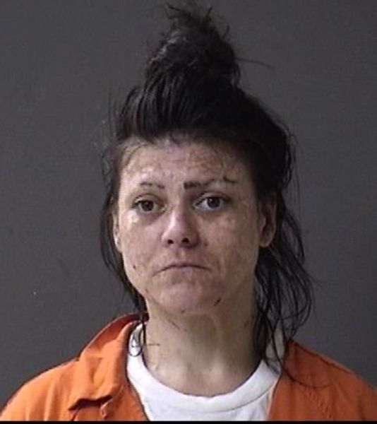 Booking photo of Danielle Vogt