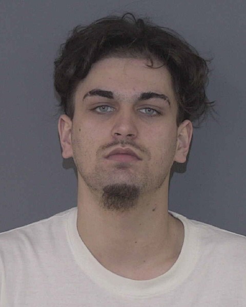 Booking photo of Aaron Lubs