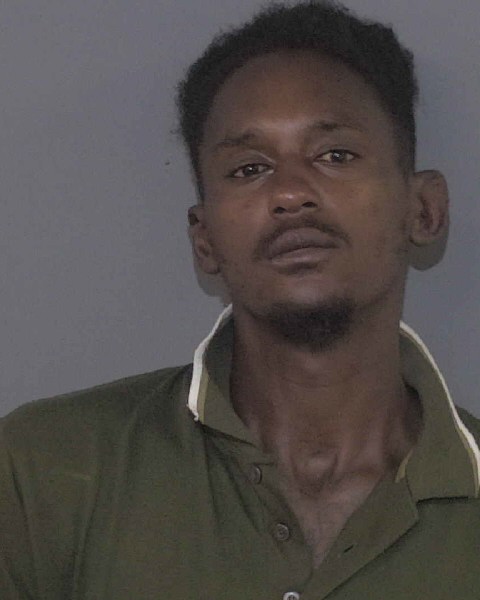 Booking photo of Steven Roland