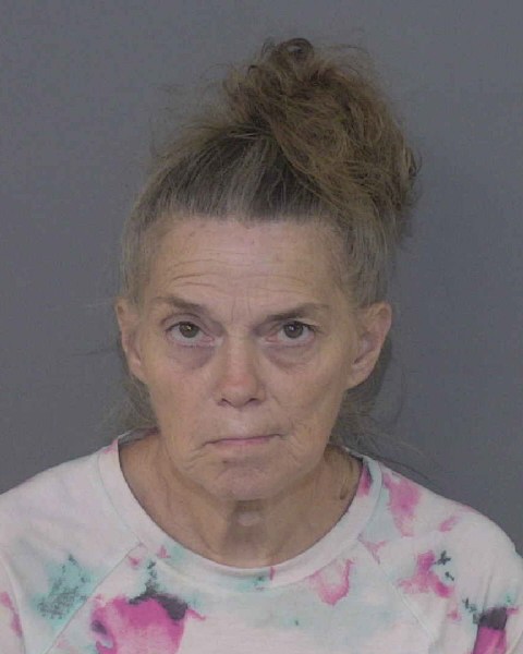 Booking photo of Sonya Josey