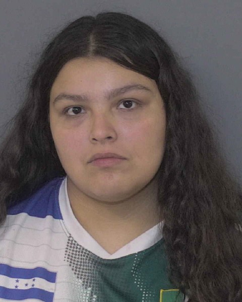 Nataly Villeda-zelaya booking photo