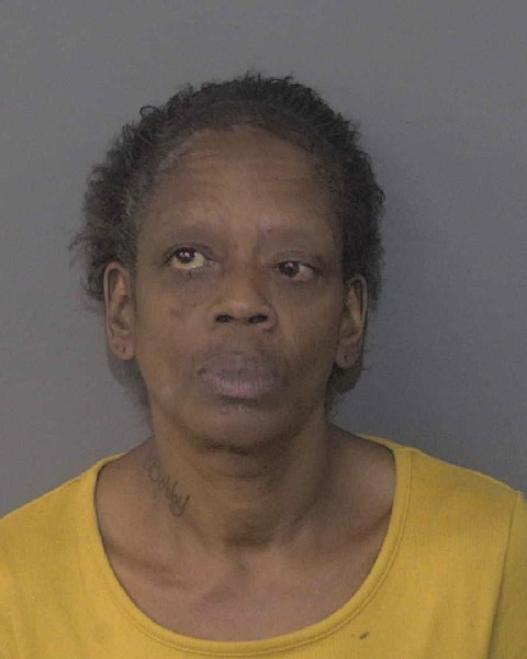 Booking photo of Lena Elliott