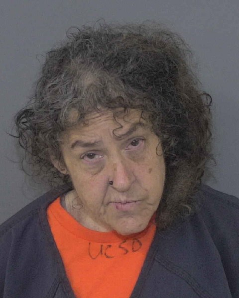Booking photo of Pamela Boyd