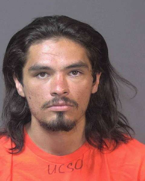 Booking photo of Zeppelin Tamilio