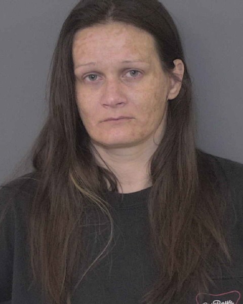 Booking photo of Amanda Dial