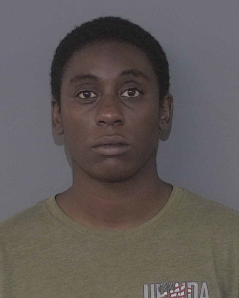 Booking photo of Sydney Jones