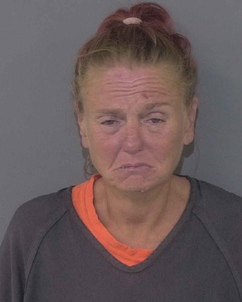Booking photo of Tina Mcelhannon