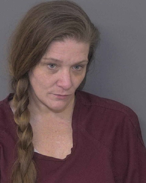Booking photo of Amanda Dryman