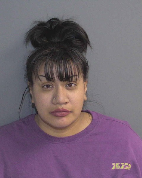 Booking photo of Ana Cuibin