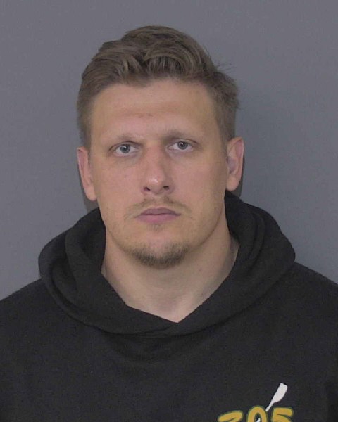 Booking photo of David Melnik