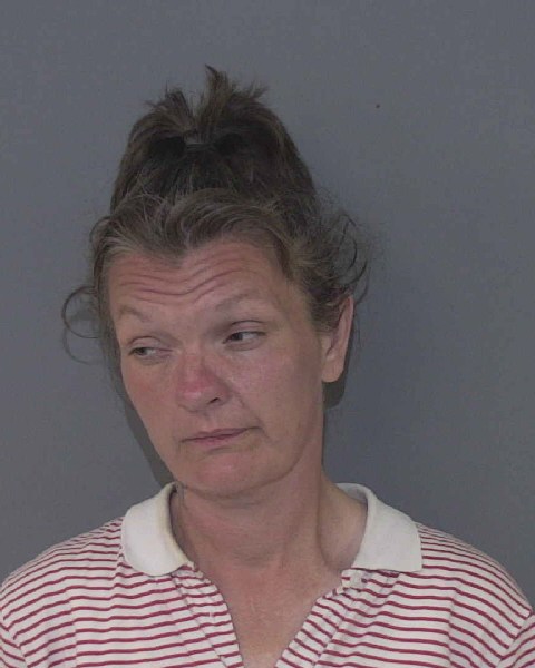 Booking photo of Dana Lamonds